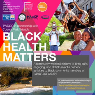 Image with text and photos of healthy Black families outdoors
